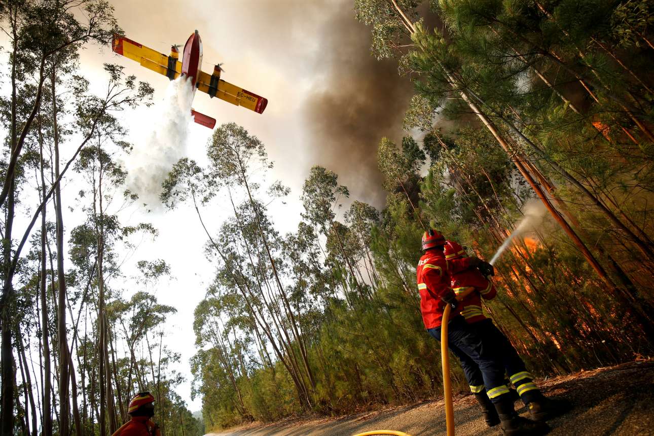 Пожарный июль. Forest Fire Fighting Perlite.