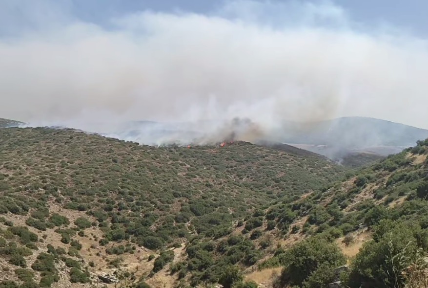 Φωτιά στη Μαγνησία: 112 για εκκένωση σε Καστράκι – Νέα Αγχίαλο