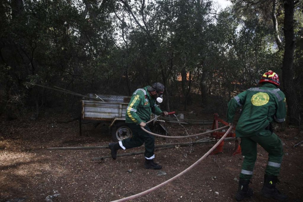 Νέα σύλληψη για πρόκληση πυρκαγιάς – έκαιγε ξερά χόρτα σε οικόπεδο στο Διακόπι Φωκίδας