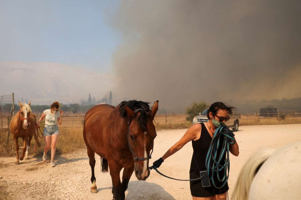 Καλύβια: Πώς σώθηκαν τα άλογα από τη φωτιά που έκαιγε τον ιππικό όμιλο – συγκλονιστικό βίντεο του Reuters