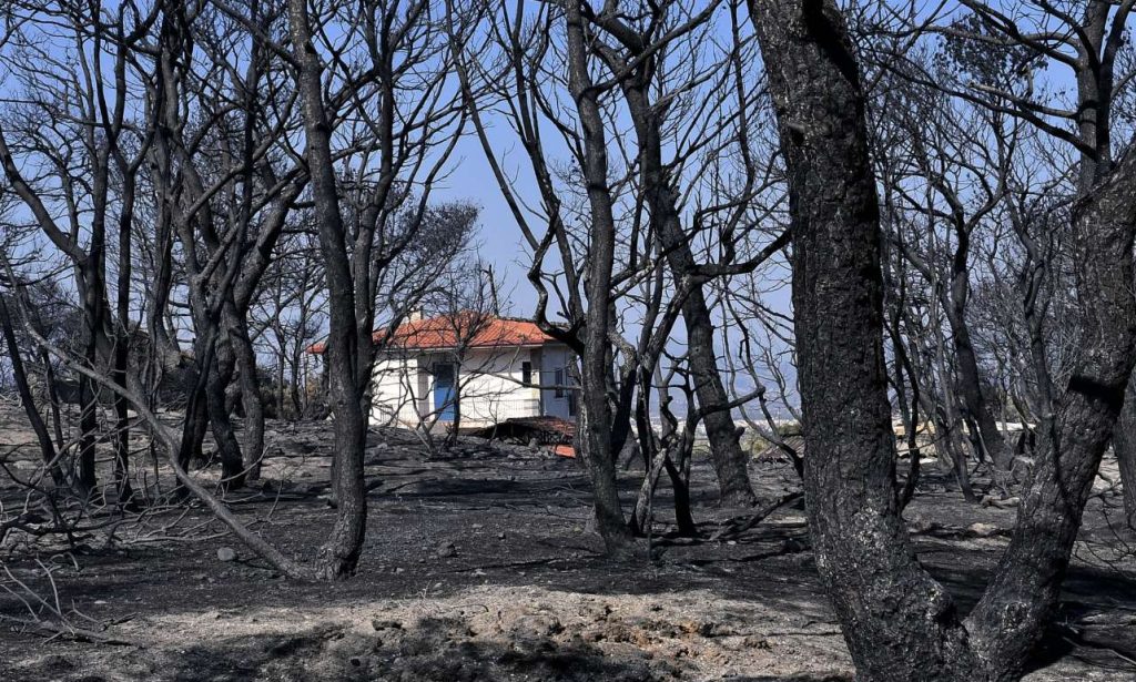 Κάρυστος: Απανθρακωμένη σορός βρέθηκε σε δύσβατη περιοχή