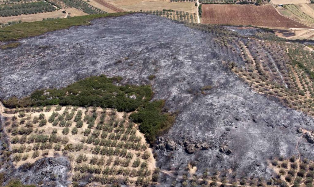 Αναζωπύρωση στην πυρκαγιά στη Λαμία, εκκενώθηκαν δύο περιοχές