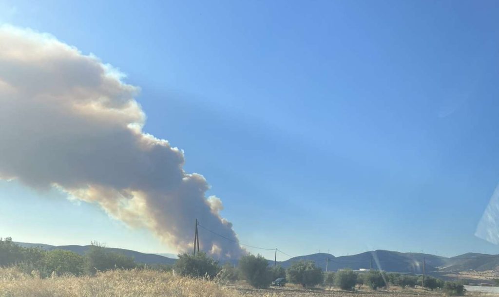 Μήνυμα από το 112 για την πυρκαγιά στα Δερβενοχώρια Βοιωτίας