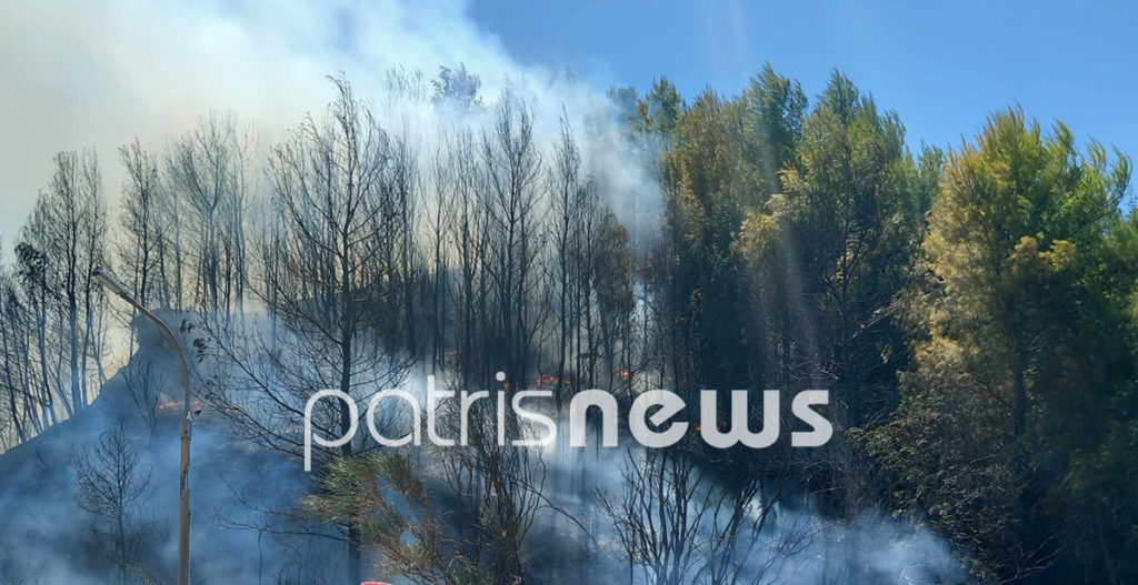 Μεγάλη φωτιά στην Ηλεία: Ξεκίνησαν τα μηνύματα από το 112