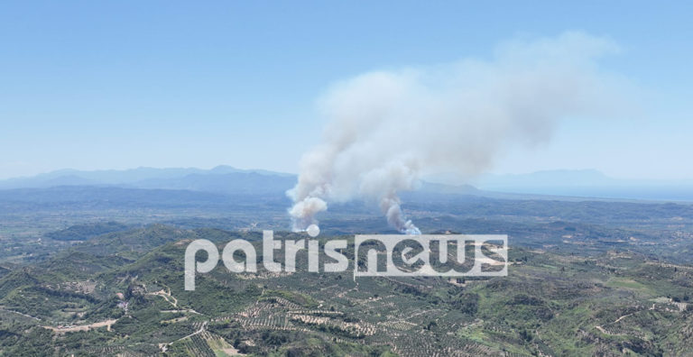 Πύργος: Σε ύφεση οι τρεις πυρκαγιές – συνελήφθη ένας άνδρας για εμπρησμό