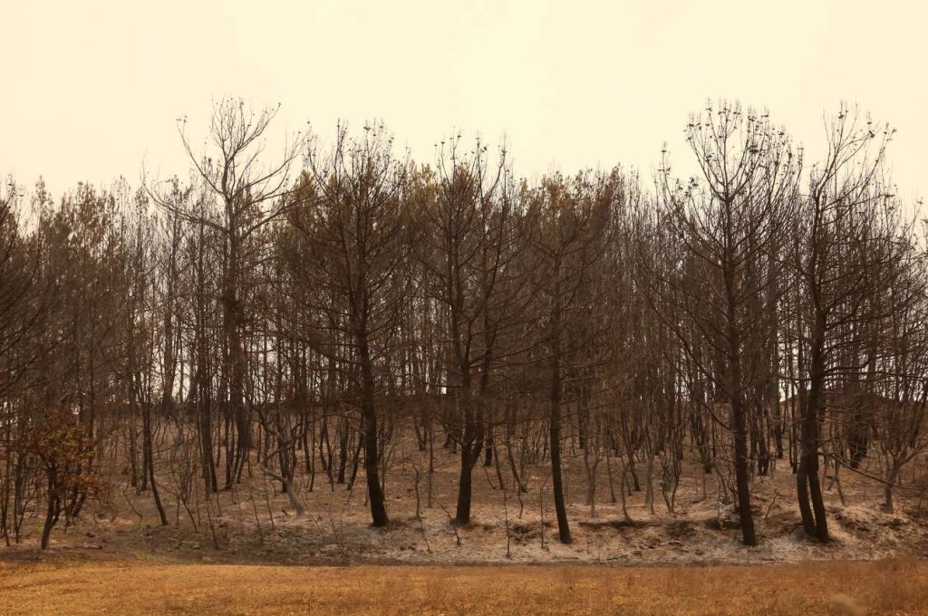 Η καμένη έκταση στον Εβρο ξεπερνά σε μέγεθος τη Νέα Υόρκη