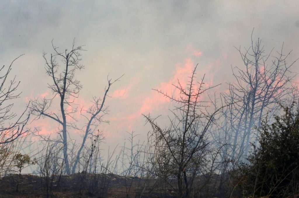 «Σε πλήρη εξέλιξη» η φωτιά στον Εβρο – Μήνυμα του «112» για εκκένωση του Κοτρωνιά