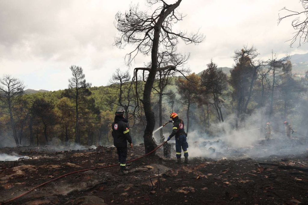 Σύλληψη για εμπρησμό από αμέλεια για την πυρκαγιά στη Σταμάτα