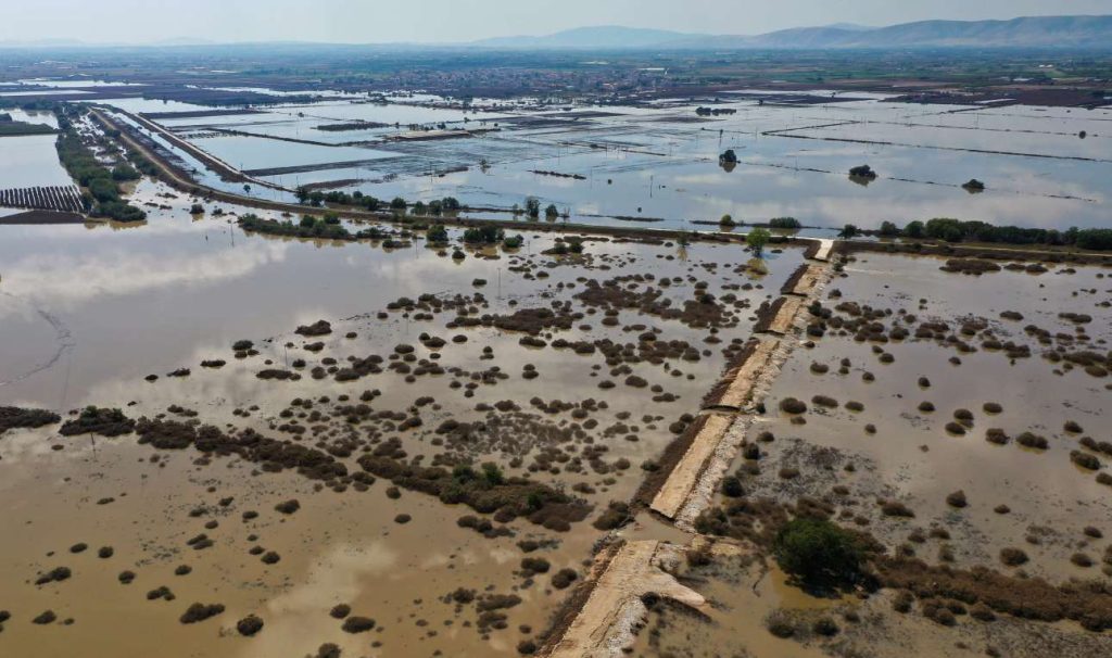 Η επόμενη μέρα της πρωτογενούς παραγωγής στον θεσσαλικό κάμπο