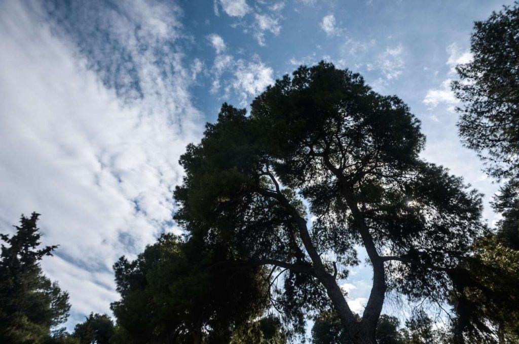 Καλός ο καιρός την Κυριακή των εκλογών – Πτώση της θερμοκρασίας από Δευτέρα