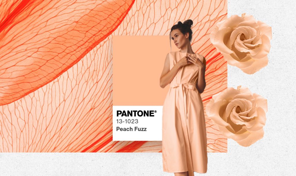 2024   Peach Fuzz ColorOftheYear24 1024x611 