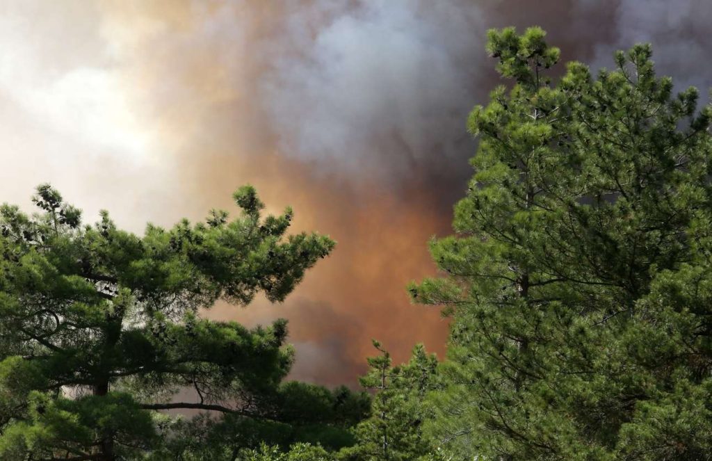 Λαύριο: Συνελήφθη ο αντιδήμαρχος πρασίνου για εμπρησμό