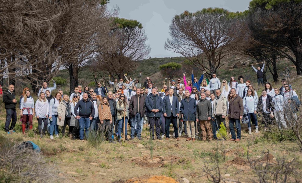 Παπαστράτος: 70.000 δέντρα στις πυρόπληκτες περιοχές της Αττικής