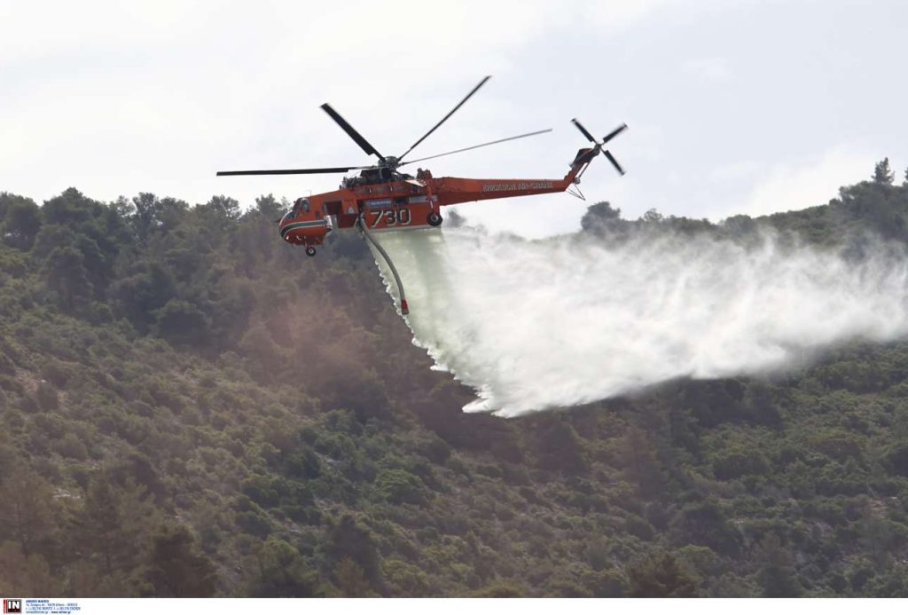 Συνελήφθη ο υπαίτιος για τις πυρκαγιές στο όρος Αιγάλεω