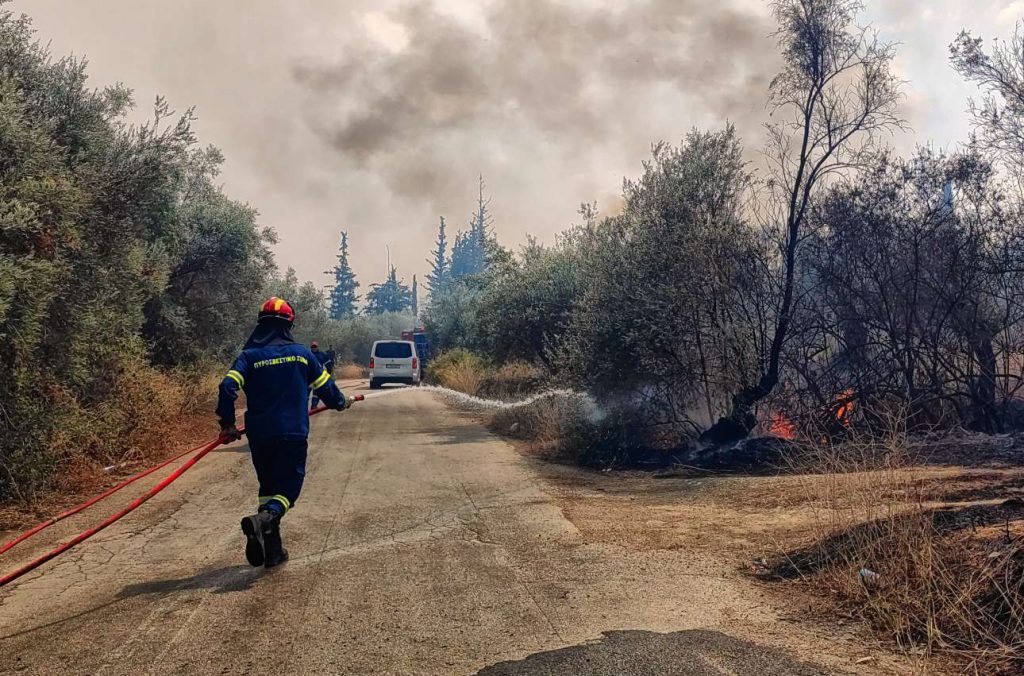 Πυροπροστασία: Ποιες υποχρεώσεις έχουν οι ιδιοκτήτες δασικών ακινήτων