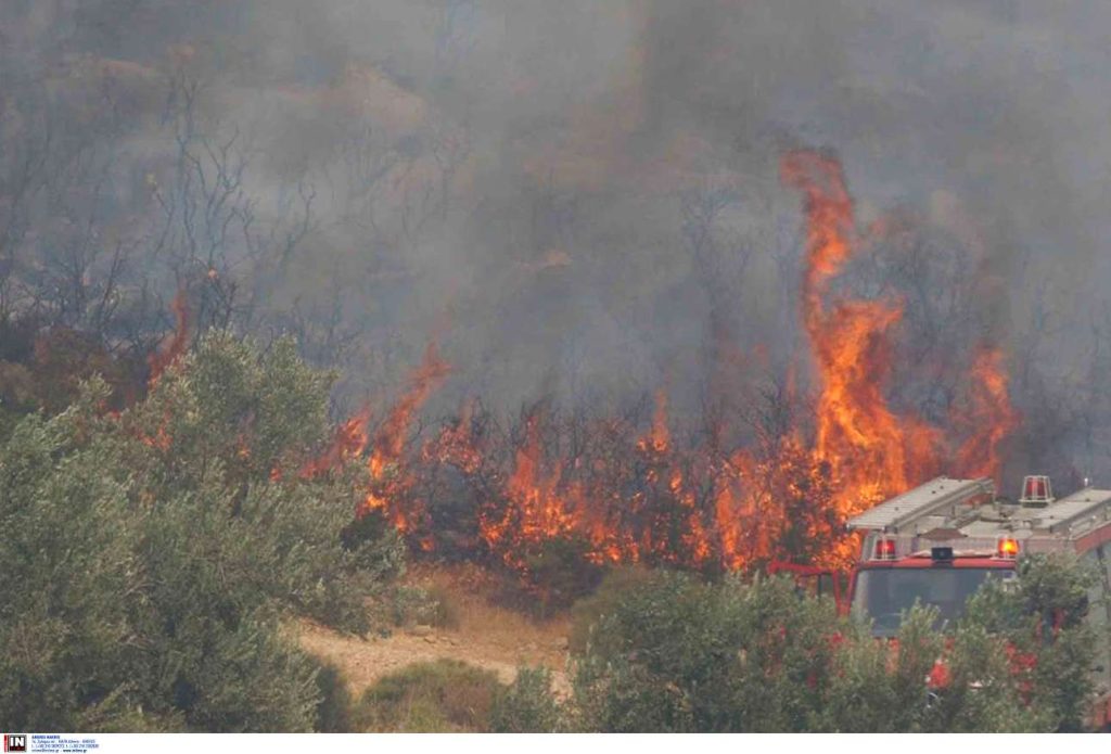 Πύρινα μέτωπα σε Ηλεία, Αχαΐα, Μεγαλόπολη, Αργολίδα – Μπαράζ μηνυμάτων από το «112»