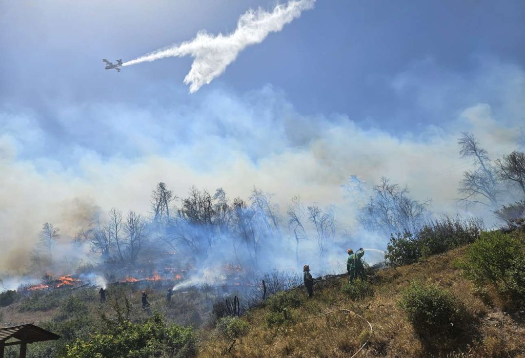 Φωτιά στην Πάρνηθα στην περιοχή Κατσιμίδι