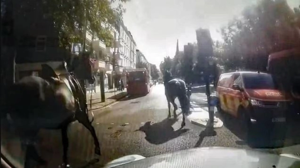 Χάος στο Λονδίνο: Νέα επιδρομή αλόγων στο κέντρο της πόλης