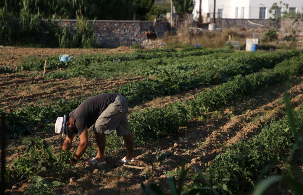 Επιστημονικό SOS για τη λειψυδρία: Στο μικροσκόπιο επτά νησιά για εύρεση λύσεων