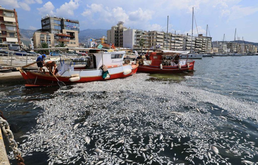 Κουρέτας για Παγασητικό: Αποτεφρώσαμε 270 τόνους ψαριών