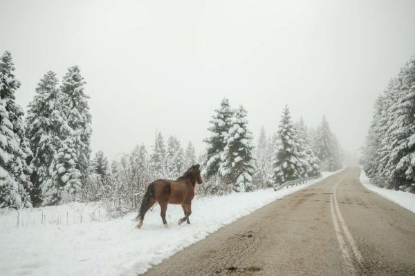 Καιρός: Κάθετη πτώση της θερμοκρασίας 10 °C