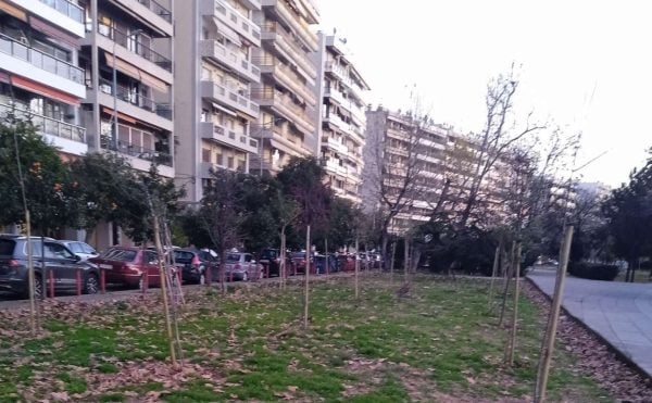 Οι βάνδαλοι χτύπησαν ξανά στη Θεσσαλονίκη: Κατέστρεψαν όλα τα νέα δέντρα στη Νέα Παραλία